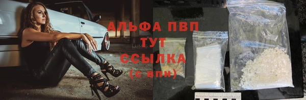 эйфоретик Баксан