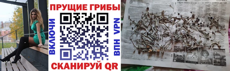 Псилоцибиновые грибы GOLDEN TEACHER  shop клад  Гагарин 