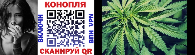 Конопля план  Гагарин 